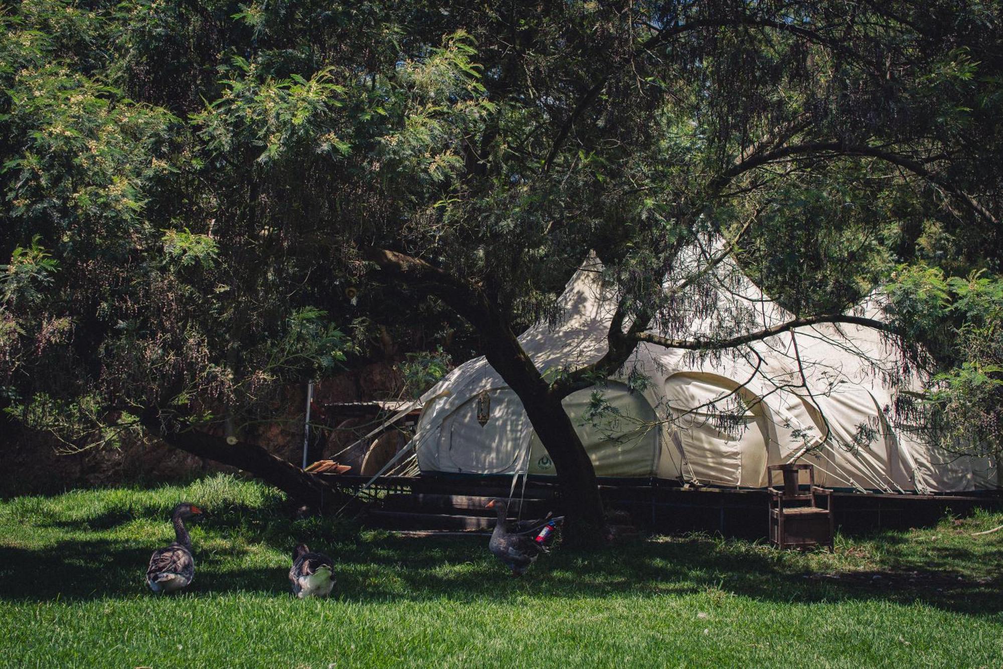 Arambha Ecovillage Farmstay Tabua  외부 사진