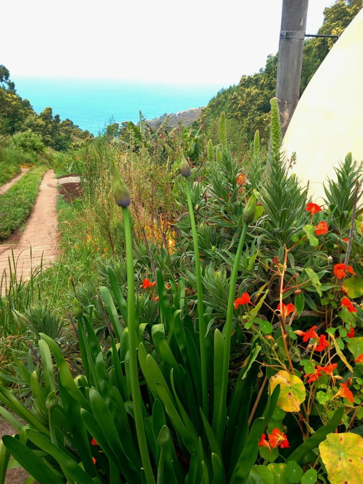 Arambha Ecovillage Farmstay Tabua  외부 사진