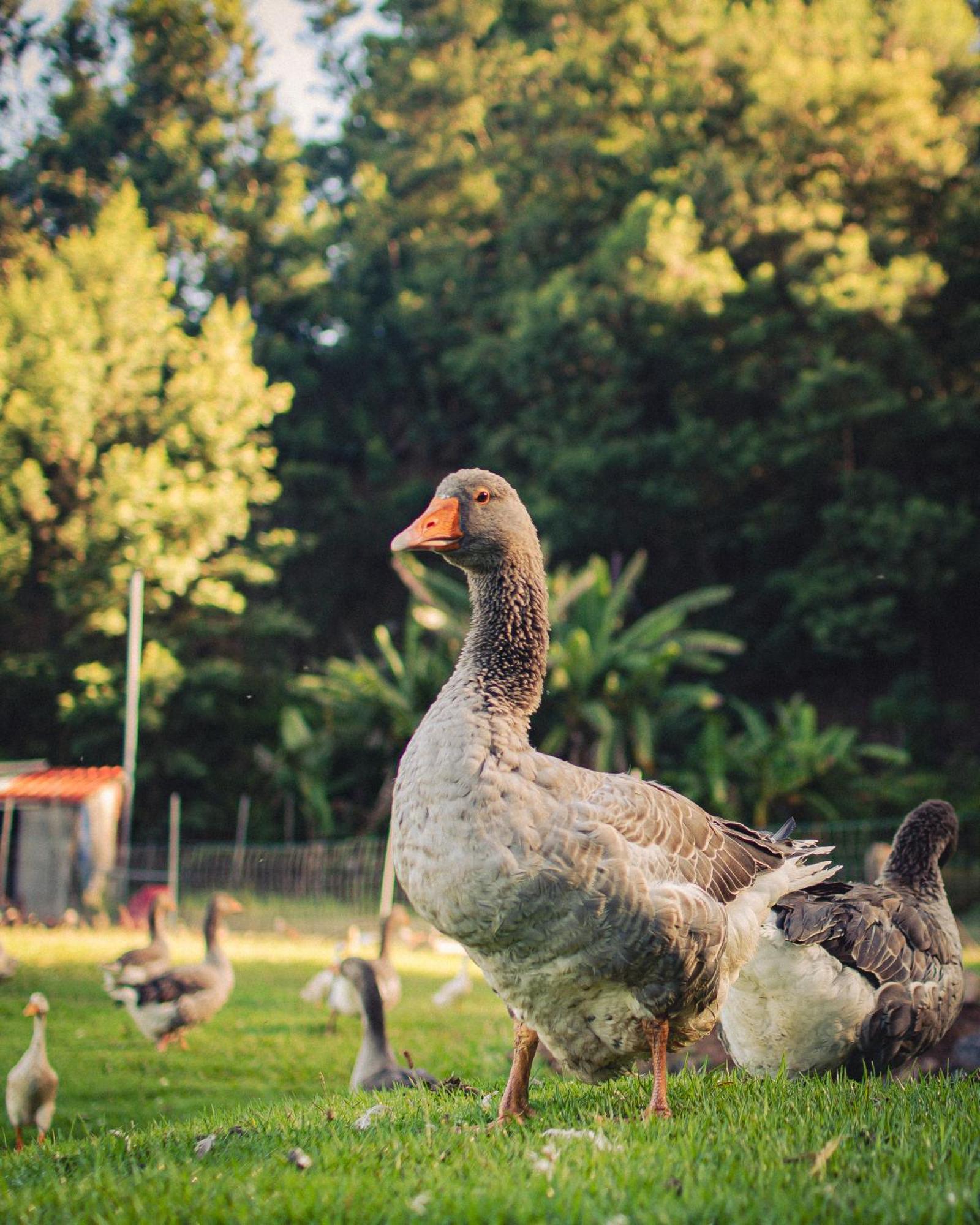 Arambha Ecovillage Farmstay Tabua  외부 사진
